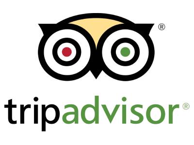 tripadvisor-logo-rosma-travel-limited